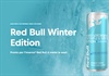Redbull Winter Edition 2024