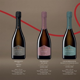 La nuova veste Dei Cavalieri